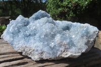 Natural Celestite Crystal Plate x 1 From Sakoany, Madagascar