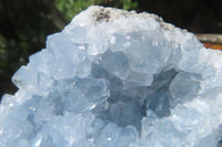 Natural Celestite Crystal Plate x 1 From Sakoany, Madagascar