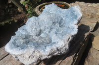 Natural Celestite Crystal Plate x 1 From Sakoany, Madagascar