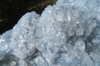 Natural Celestite Crystal Plate x 1 From Sakoany, Madagascar