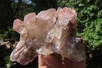 Natural Red Hematoid Quartz Clusters x 6 From Karoi, Zimbabwe