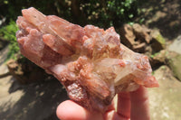 Natural Red Hematoid Quartz Clusters x 6 From Karoi, Zimbabwe