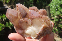 Natural Red Hematoid Quartz Clusters x 6 From Karoi, Zimbabwe