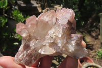 Natural Red Hematoid Quartz Clusters x 6 From Karoi, Zimbabwe