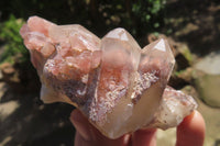 Natural Red Hematoid Quartz Clusters x 6 From Karoi, Zimbabwe