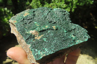 Natural Botryoidal Malachite Specimens x 6 From Tenke Fungurume, Congo