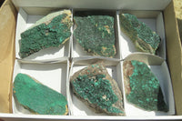 Natural Botryoidal Malachite Specimens x 6 From Tenke Fungurume, Congo