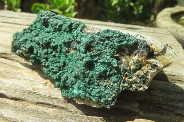 Natural Botryoidal Malachite Specimens x 6 From Tenke Fungurume, Congo