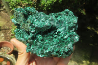 Natural Silky Malachite Specimens x 2 From Kasompe, Congo