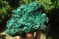 Natural Silky Malachite Specimens x 2 From Kasompe, Congo