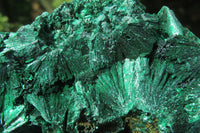 Natural Silky Malachite Specimens x 2 From Kasompe, Congo