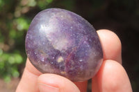 Polished Lepidolite with Pink Rubellite Palm Stones x 24 From Ambatondrazaka, Madagascar