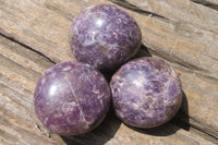 Polished Lepidolite with Pink Rubellite Palm Stones x 24 From Ambatondrazaka, Madagascar