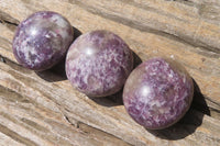 Polished Lepidolite with Pink Rubellite Palm Stones x 24 From Ambatondrazaka, Madagascar