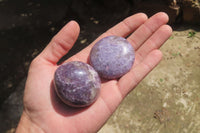 Polished Lepidolite with Pink Rubellite Palm Stones x 24 From Ambatondrazaka, Madagascar