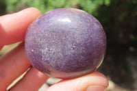 Polished Lepidolite with Pink Rubellite Palm Stones x 24 From Ambatondrazaka, Madagascar