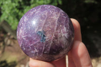 Polished Lepidolite with Pink Rubellite Palm Stones x 24 From Ambatondrazaka, Madagascar