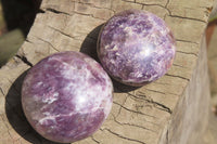 Polished Lepidolite with Pink Rubellite Palm Stones x 24 From Ambatondrazaka, Madagascar