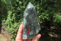 Polished Bloodstone Points x 3 From Swaziland