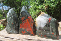 Polished Bloodstone Points x 3 From Swaziland