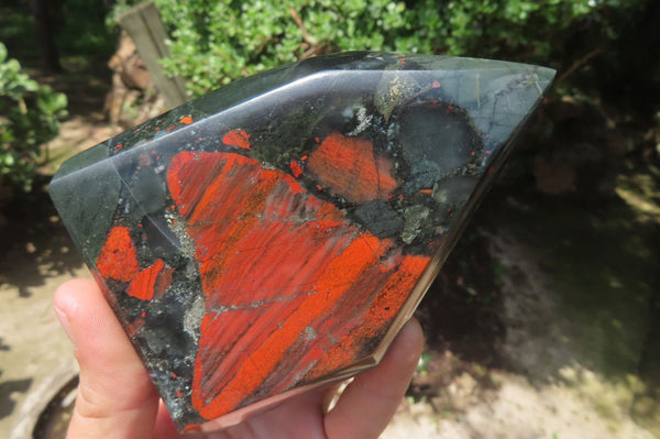 Polished Bloodstone Points x 3 From Swaziland