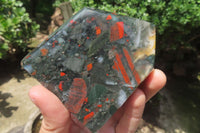 Polished Bloodstone Points x 3 From Swaziland