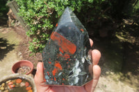 Polished Bloodstone Points x 3 From Swaziland