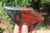 Polished Bloodstone Points x 3 From Swaziland