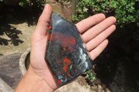 Polished Bloodstone Points x 3 From Swaziland