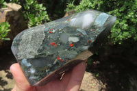 Polished Bloodstone Points x 3 From Swaziland