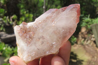 Natural Red Hematoid Quartz Clusters x 6 From Karoi, Zimbabwe