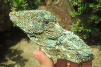 Natural Kyanite In Fuchsite Matrix Specimens x 5 From Zimbabwe