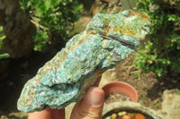 Natural Kyanite In Fuchsite Matrix Specimens x 5 From Zimbabwe