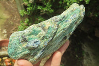 Natural Kyanite In Fuchsite Matrix Specimens x 5 From Zimbabwe