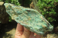 Natural Kyanite In Fuchsite Matrix Specimens x 5 From Zimbabwe