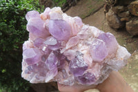 Natural Jacaranda Amethyst Quartz Cluster x 1 from Mumbwa, Zambia