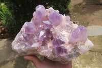 Natural Jacaranda Amethyst Quartz Cluster x 1 from Mumbwa, Zambia