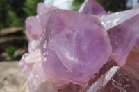 Natural Jacaranda Amethyst Quartz Cluster x 1 from Mumbwa, Zambia