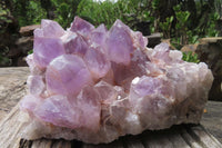 Natural Jacaranda Amethyst Quartz Cluster x 1 from Mumbwa, Zambia