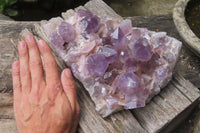 Natural Jacaranda Amethyst Quartz Cluster x 1 from Mumbwa, Zambia