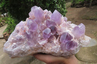 Natural Jacaranda Amethyst Quartz Cluster x 1 from Mumbwa, Zambia