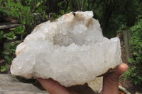 Natural Zululand Agate Geodes x 2 From Jozini, South Africa