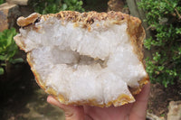 Natural Zululand Agate Geodes x 2 From Jozini, South Africa