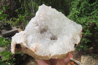 Natural Zululand Agate Geodes x 2 From Jozini, South Africa