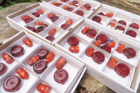 Polished Red Jasper Far Eastern Carved Gods on Wooden Stands - sold per Set of 7 - From South Africa