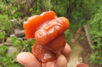 Polished Assortment Of Lucky God Carvings x 7 From China