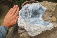 Natural Celestite Geode Specimen x 1 From Sakoany, Madagascar