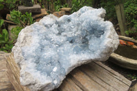 Natural Celestite Geode Specimen x 1 From Sakoany, Madagascar