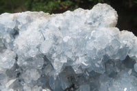 Natural Celestite Geode Specimen x 1 From Sakoany, Madagascar