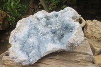 Natural Celestite Geode Specimen x 1 From Sakoany, Madagascar